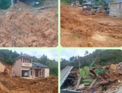 Rumah, Kebun Kopi dan Tanaman Nenas Milik Kami Tertimbun Longsor, Itu satu- satunya Mata Pencaharian