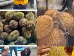 Wartawan Peduli Tembus Zona Bencana, Hadirkan Durian Premium Langsung ke Rumah Pejabat dan Warga Takengon