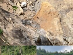 Kopi Siap Panen Ludes Diterjang Longsor, Wartawan Abdul Rahman Baru Mengetahui Dua Bulan Kemudian