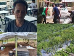 BUMK Arul Pertik Terdampak Bencana, Reje Tegaskan Dana Desa Dialihkan untuk Ketahanan Pangan Warga