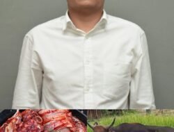 Rp4,5 Miliar Bantuan Sapi Meugang Dipertanyakan, Aktivis Gayo Desak Transparansi Total Penggunaan Anggaran