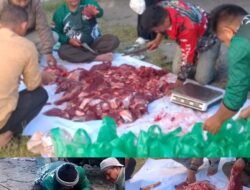 Kebersamaan Idul Adha, Asna.MHI dan Civitas Akademika IAIN Takengon Laksanakan Kurban Penuh Haru