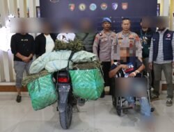 Satresnarkoba Polres Aceh Tengah Gagalkan Peredaran 45 Kilogram Ganja, Kurir Antar Kabupaten Ditangkap