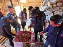 Polres Aceh Tengah Bongkar Dugaan Tambang Emas Ilegal di Pegasing, Ratusan Karung Material Disita, Pelaku Masih Diburu